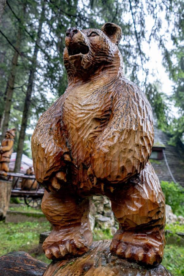Pensiunea Sura Dacilor - Alex Poiana Brasov Exterior foto